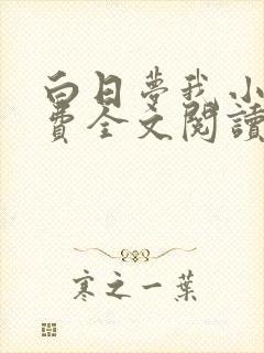 白日梦我小说免费全文阅读无弹窗