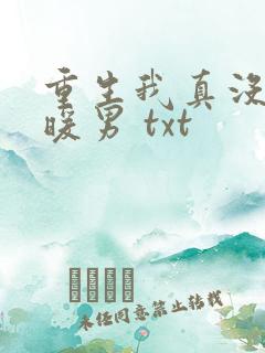 重生我真没想当暖男 txt