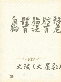 自体脂肪移植丰胸有没有危害