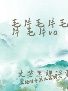 毛片毛片毛片毛片 毛片va