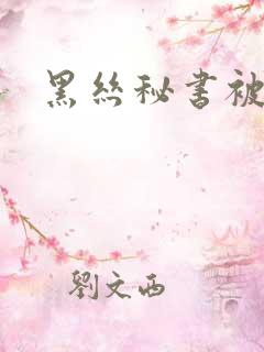 黑丝秘书被艹