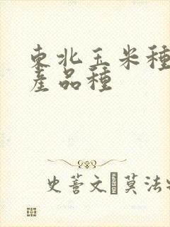 东北玉米种子高产品种