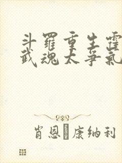 斗罗重生霍雨浩武魂太争气了笔趣阁