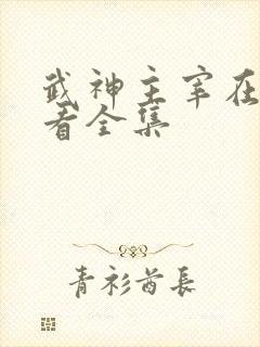 武神主宰在线观看全集