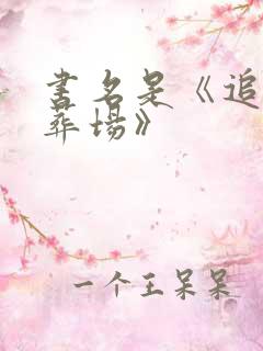 书名是《追妻火葬场》