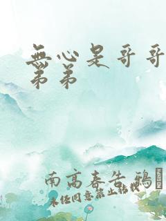 无心是哥哥还是弟弟