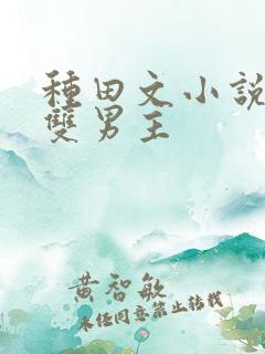 种田文小说推荐双男主