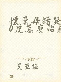 怀孕母猪发烧40度怎么治疗