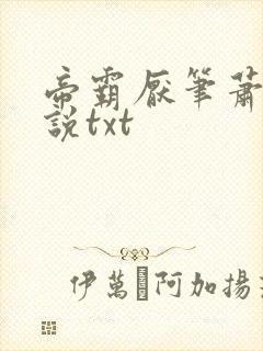 帝霸厌笔萧生小说txt