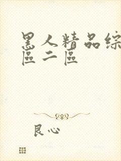 黑人精品综合一区二区