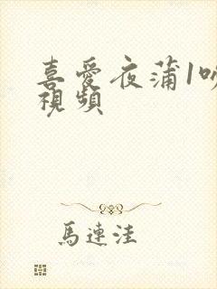 喜爱夜蒲1吻戏视频