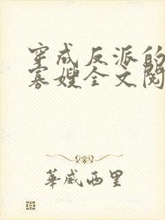 穿成反派的恶毒寡嫂全文阅读