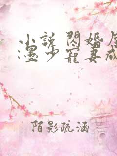 小说 闪婚厚爱:墨少宠妻成瘾