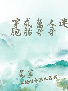 穿成万人迷的双胞胎哥哥