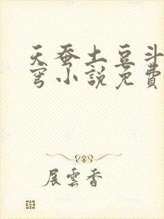 天蚕土豆斗破苍穹小说免费阅读