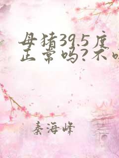 母猪39.5度正常吗?不吃食怎么办?