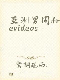 亚洲男同freevideos