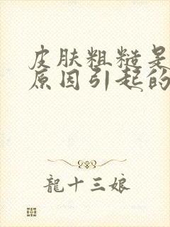 皮肤粗糙是什么原因引起的