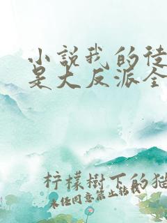 小说我的徒弟都是大反派全文在线阅读