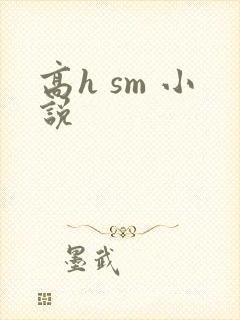 高h sm 小说