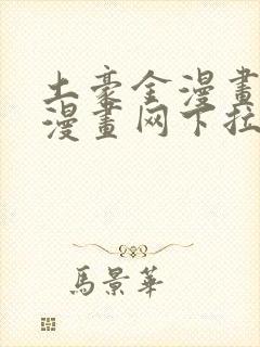 土豪金漫画免费漫画网下拉式