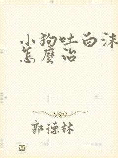 小狗吐白沫拉血怎么治