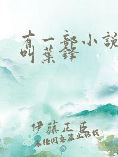 有一部小说主角叫叶锋