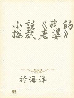 小说《我的冰山总裁老婆》