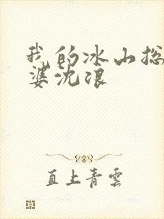 我的冰山总裁老婆沈浪