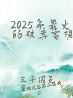 2025年最火的破案电视剧