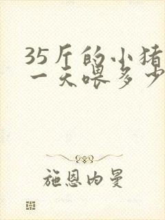 35斤的小猪仔一天喂多少仔猪料