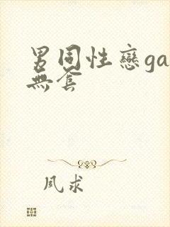 男同性恋gay无套