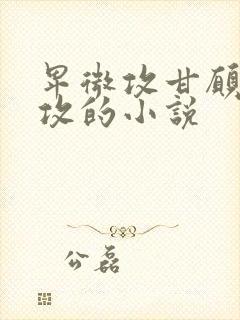 卑微攻甘愿被反攻的小说