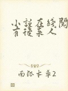 小说在线阅读还有后来人