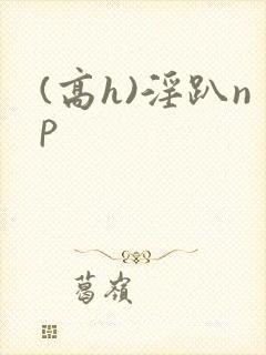 (高h)淫趴np