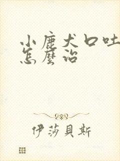 小鹿犬口吐白沫怎么治