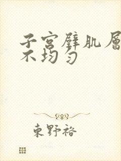 子宫壁肌层回声不均匀