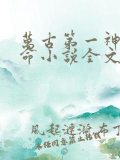 万古第一神李天命小说全文免费阅读无弹窗