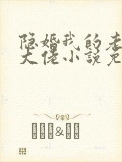 隐婚我的老公是大佬小说免费阅读