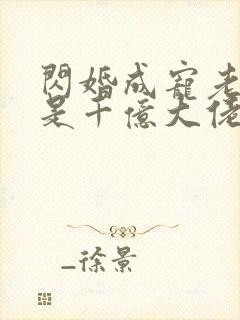 闪婚成宠老公竟是千亿大佬