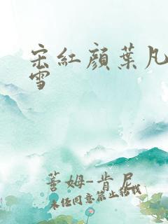 宋红颜叶凡唐若雪