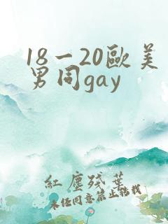 18一20欧美男同gay