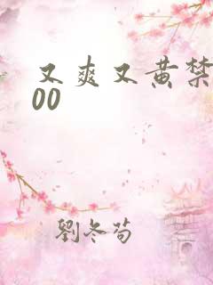 又爽又黄禁片100