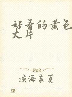 好看的黄色一级大片