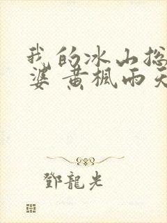 我的冰山总裁老婆 黄枫雨天