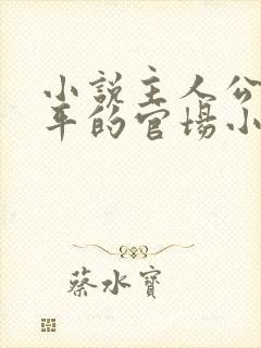 小说主人公叫周平的官场小说