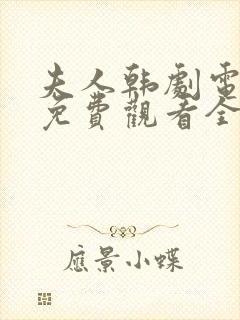 夫人韩剧电视剧免费观看全集高清