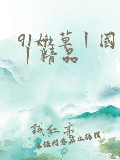 91嫩草丨国产丨精品