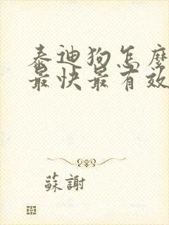 泰迪狗怎么下奶最快最有效的