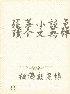 张华小说免费阅读全文无弹窗